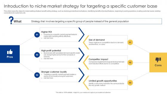 Introduction To Niche Market Strategy For Targeting Powerful Sales Tactics For Meeting MKT SS V