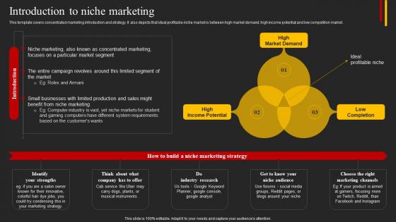 Introduction To Niche Marketing Top 5 Target Marketing Strategies You Need Strategy SS