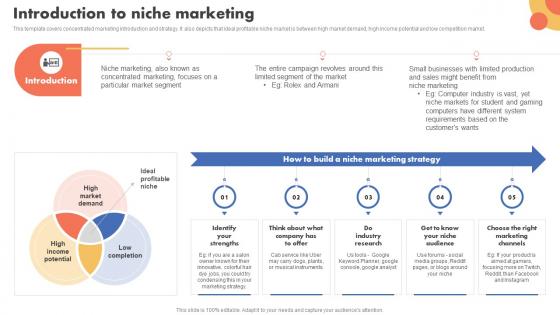 Introduction To Niche Marketing Types Of Target Marketing Strategies