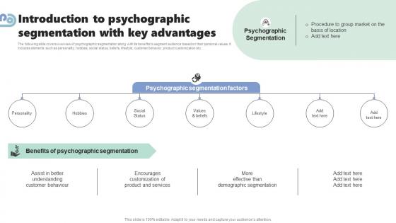 Introduction To Psychographic Segmentation Micromarketing Strategies For Personalized MKT SS V