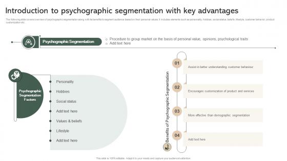 Introduction To Psychographic Segmentation With Key Advantages Effective Micromarketing Guide