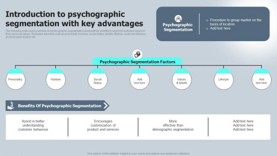Introduction To Psychographic Segmentation With Key Macro VS Micromarketing Strategies MKT SS V