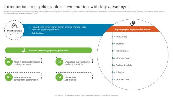 Introduction To Psychographic Segmentation With Understanding Various Levels MKT SS V