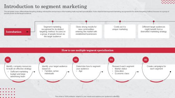 Introduction To Segment Marketing Target Market Definition Examples Strategies And Analysis