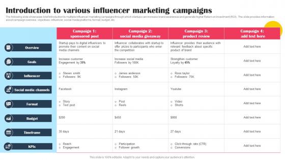 Introduction To Various Influencer Marketing Campaigns Promotional Tactics To Boost Strategy SS V