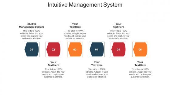 Intuitive management system ppt powerpoint presentation styles format ideas cpb
