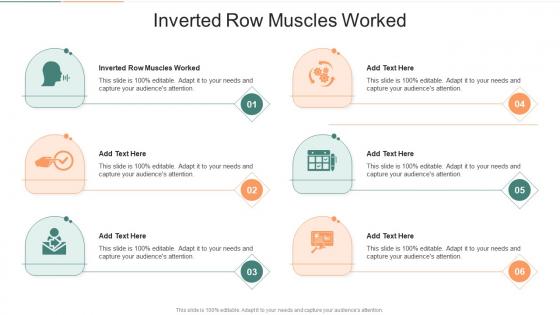 Inverted Row Muscles Worked In Powerpoint And Google Slides Cpb
