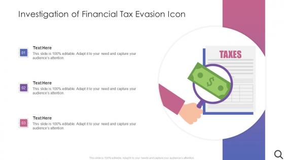 Investigation Of Financial Tax Evasion Icon