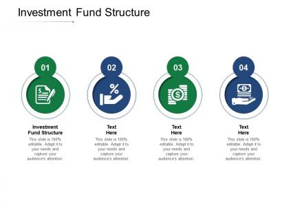 Investment fund structure ppt powerpoint presentation outline ideas cpb