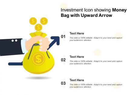 Investment icon showing money bag with upward arrow