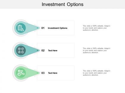 Investment options ppt powerpoint presentation model mockup cpb