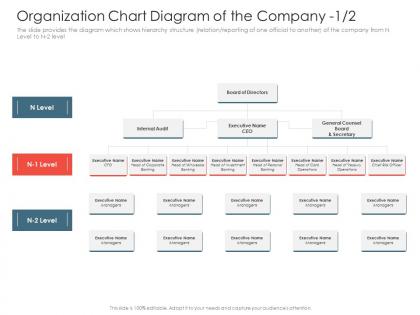 Investment pitch presentations raise organization chart diagram of the company audit ppt shapes
