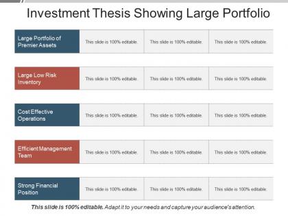 Investment thesis showing large portfolio