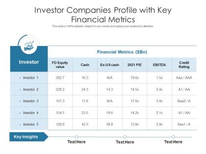 Investor companies profile with key financial metrics