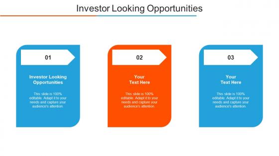 Investor Looking Opportunities Ppt Powerpoint Presentation Infographics Cpb