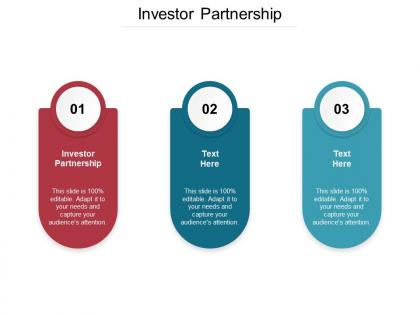 Investor partnership ppt powerpoint presentation slides ideas cpb