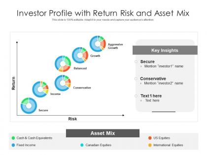 Investor profile with return risk and asset mix