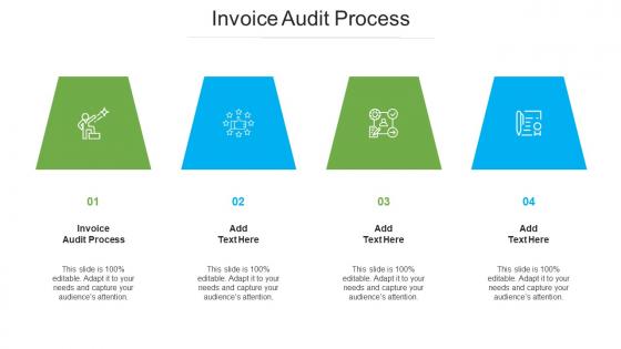 Invoice Audit Process Ppt Powerpoint Presentation Layouts Skills Cpb