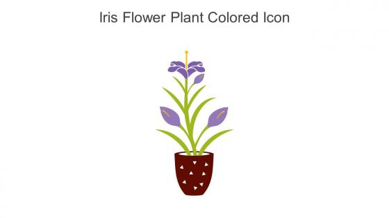 Iris Flower Plant Colored Icon In Powerpoint Pptx Png And Editable Eps Format