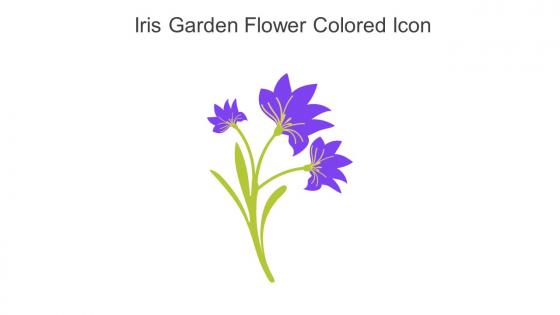 Iris Garden Flower Colored Icon In Powerpoint Pptx Png And Editable Eps Format