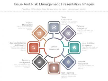 Issue And Risk Management Presentation Images