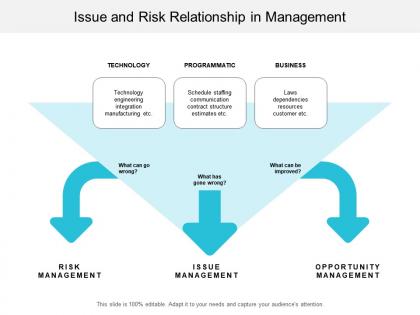 Issue and risk relationship in management