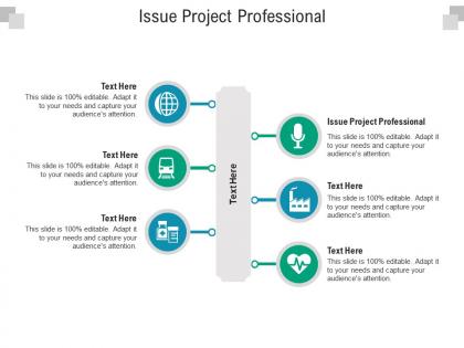 Issue project professional ppt powerpoint presentation visual aids styles cpb