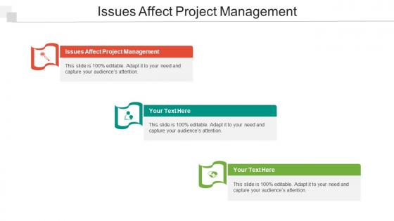 Issues Affect Project Management Ppt Powerpoint Presentation Portfolio Cpb