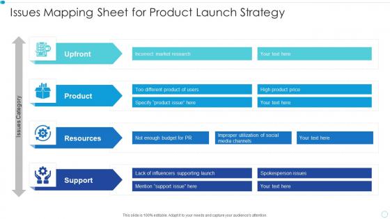 Issues mapping sheet for product launch strategy