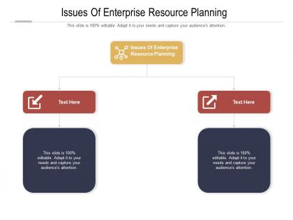 Issues of enterprise resource planning ppt powerpoint presentation summary background cpb