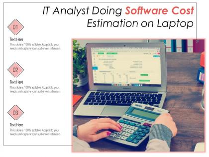 It analyst doing software cost estimation on laptop