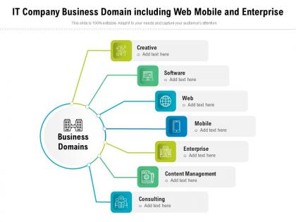 It company business domain including web mobile and enterprise