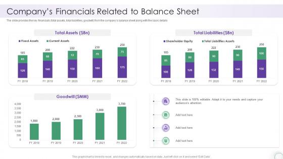 It Company Report Sample Companys Financials Related To Balance Sheet
