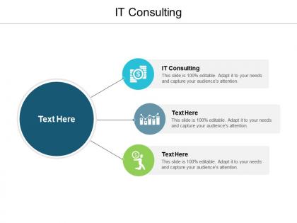 It consulting ppt powerpoint presentation infographic template format ideas cpb