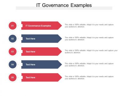 It governance examples ppt powerpoint presentation slides demonstration cpb