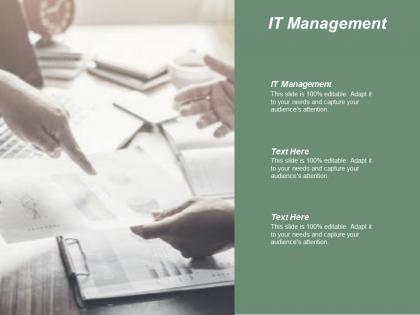 It management ppt powerpoint presentation inspiration infographic template cpb