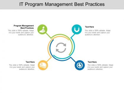 It program management best practices ppt powerpoint presentation guide cpb
