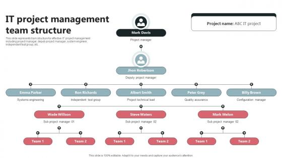 IT Project Management Team Structure