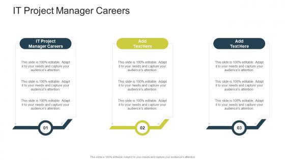 IT Project Manager Careers In Powerpoint And Google Slides CPB