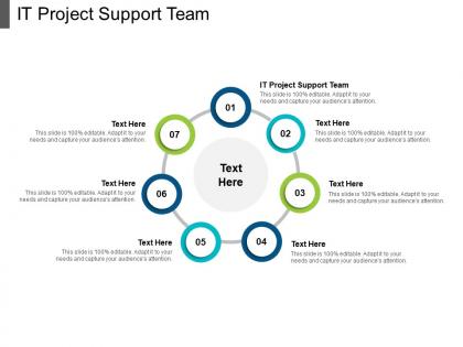 It project support team ppt powerpoint presentation show template cpb