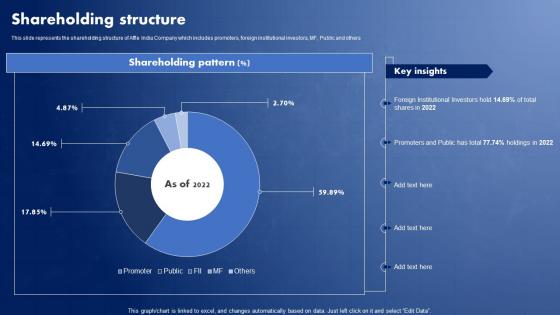 IT Solutions Company Profile Shareholding Structure Ppt Brochure CP SS V