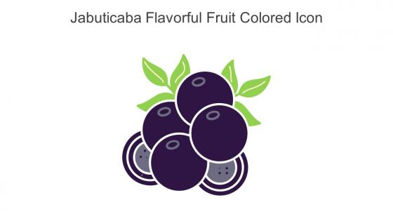 Jabuticaba Flavorful Fruit Colored Icon In Powerpoint Pptx Png And Editable Eps Format