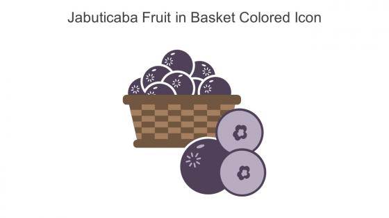 Jabuticaba Fruit In Basket Colored Icon In Powerpoint Pptx Png And Editable Eps Format