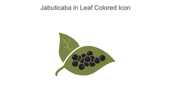 Jabuticaba In Leaf Colored Icon In Powerpoint Pptx Png And Editable Eps Format