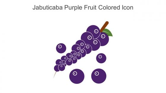 Jabuticaba Purple Fruit Colored Icon In Powerpoint Pptx Png And Editable Eps Format