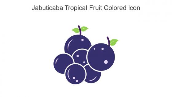 Jabuticaba Tropical Fruit Colored Icon In Powerpoint Pptx Png And Editable Eps Format