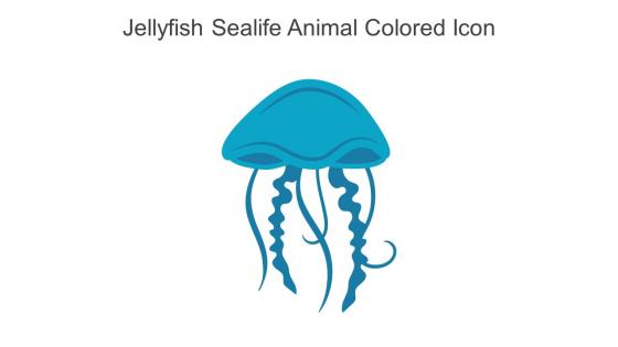 Jellyfish Sealife Animal Colored Icon In Powerpoint Pptx Png And Editable Eps Format