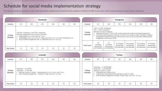 Jewelry Business Plan Schedule For Social Media Implementation Strategy BP SS