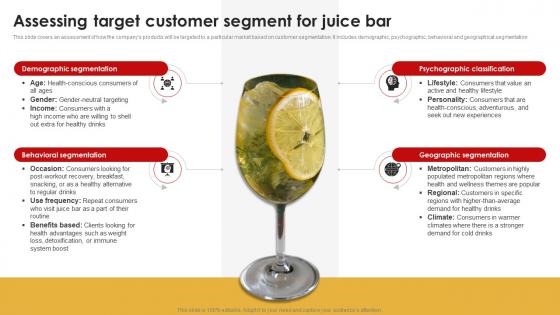 Juice Shop Business Plan Assessing Target Customer Segment For Juice Bar BP SS