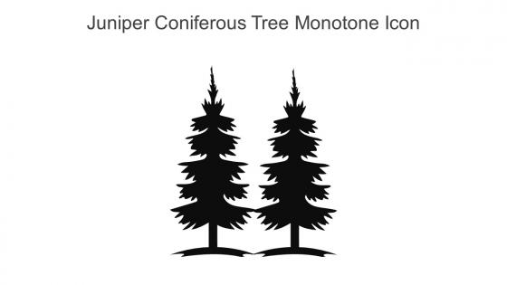 Juniper Coniferous Tree Monotone Icon In Powerpoint Pptx Png And Editable Eps Format